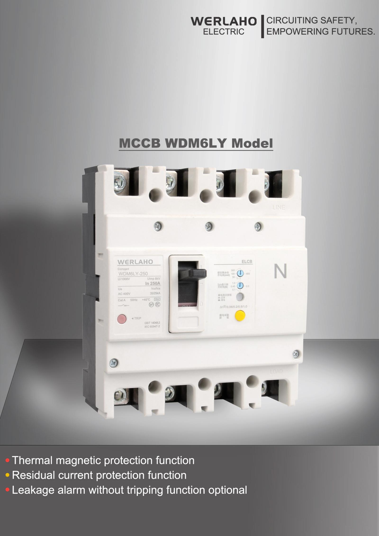 WDM6LY Thermal-magnetic Leakage Plastic-case Circuit Breaker
