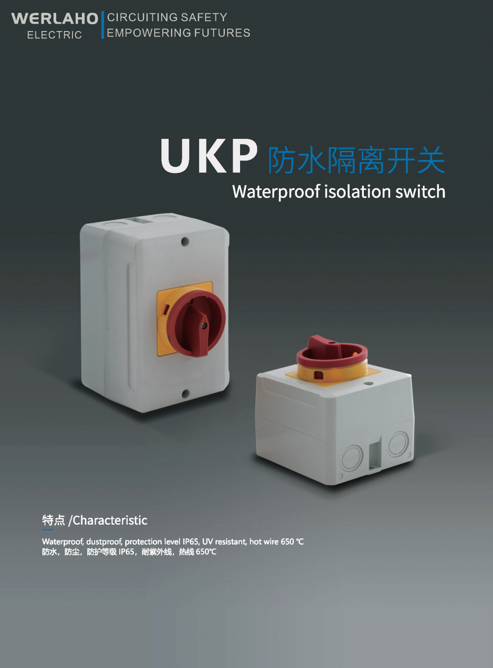 UKP Waterproof isolation switch