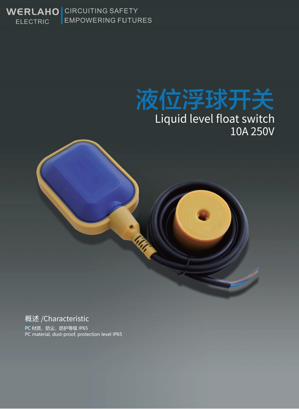 Liquid level float switch