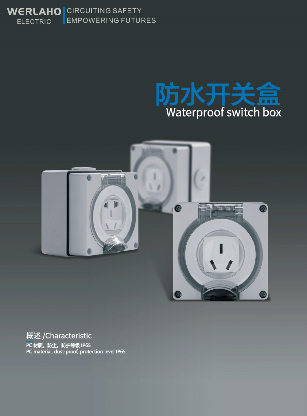 Waterproof switch box