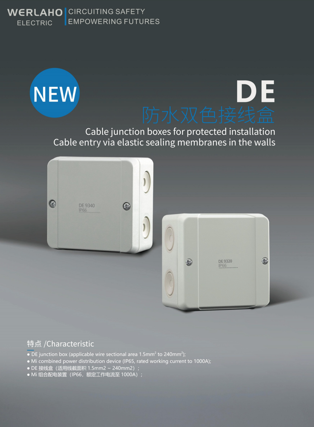 DE Cable junction boxes for protected installation