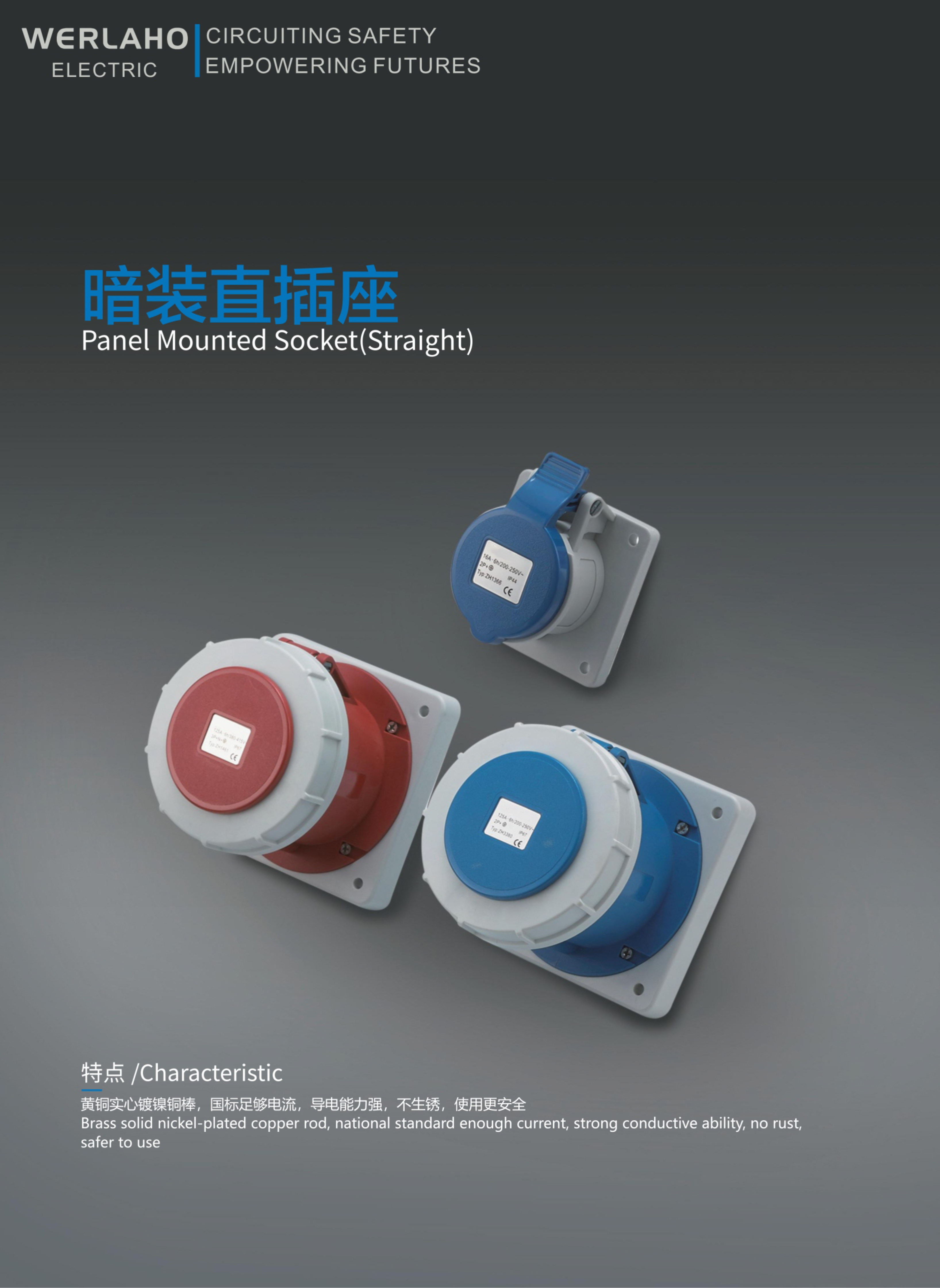 Panel Mounted Socket(Straight)