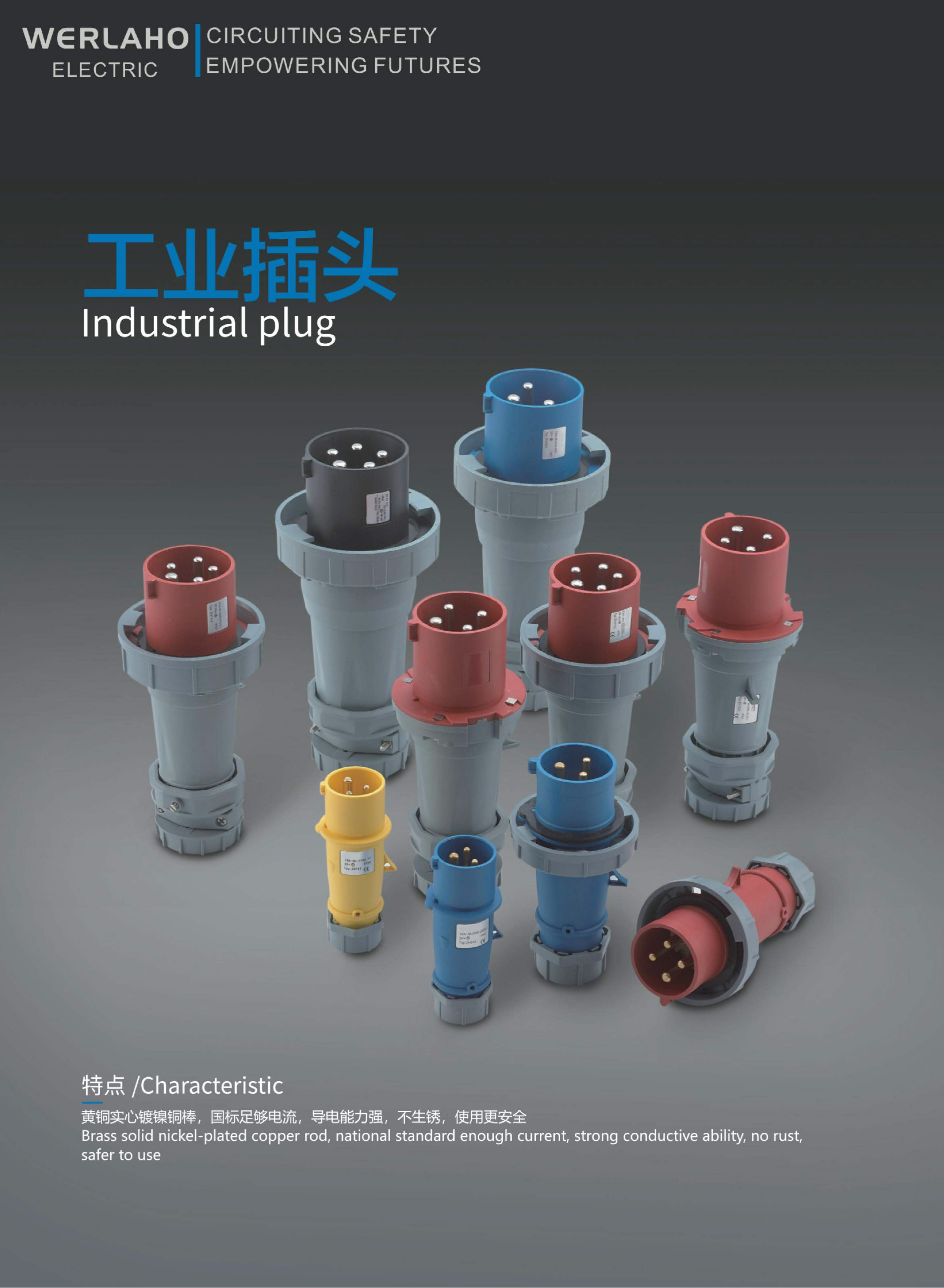 Industrial plug