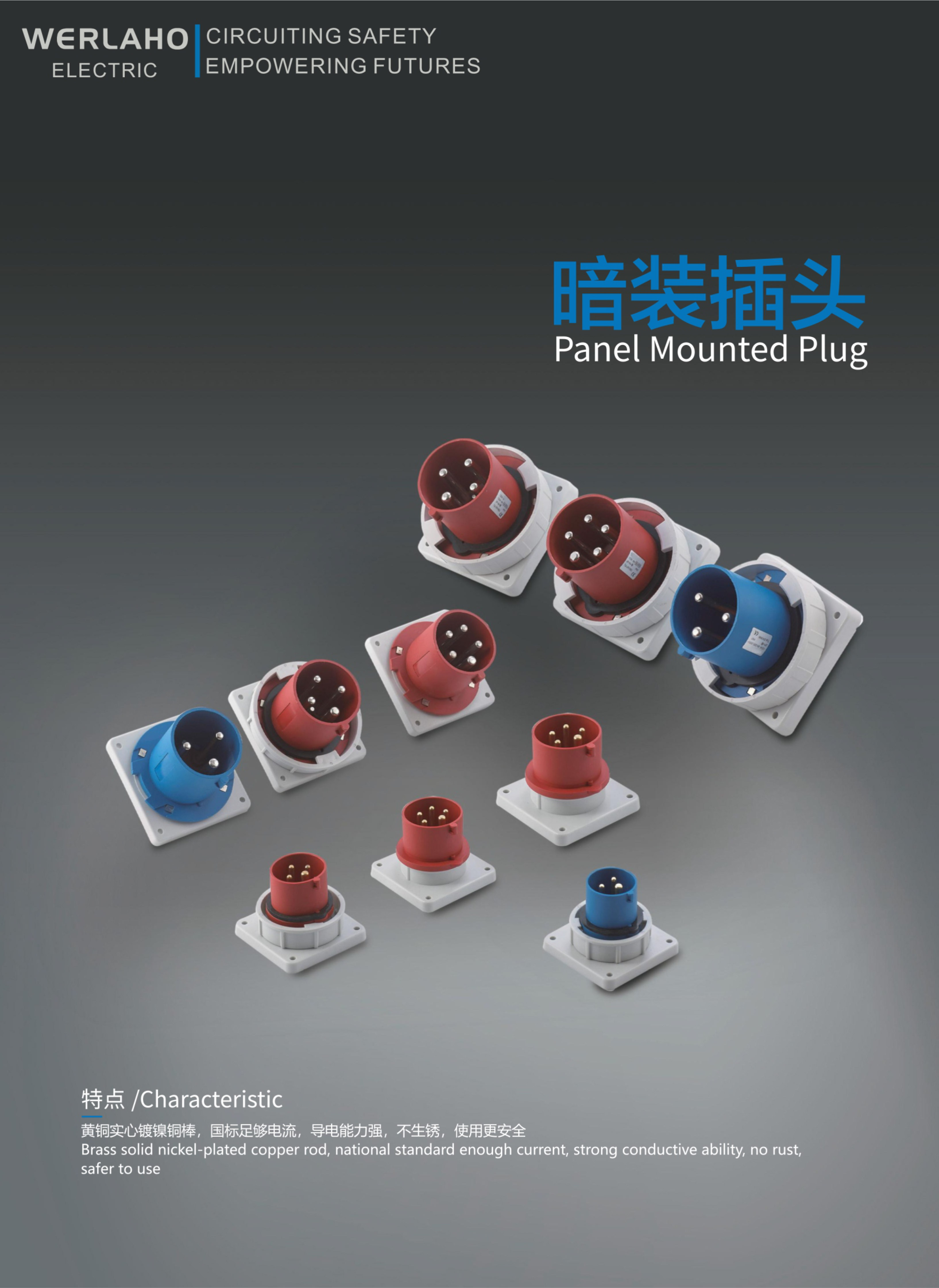 Panel Mounted Plug