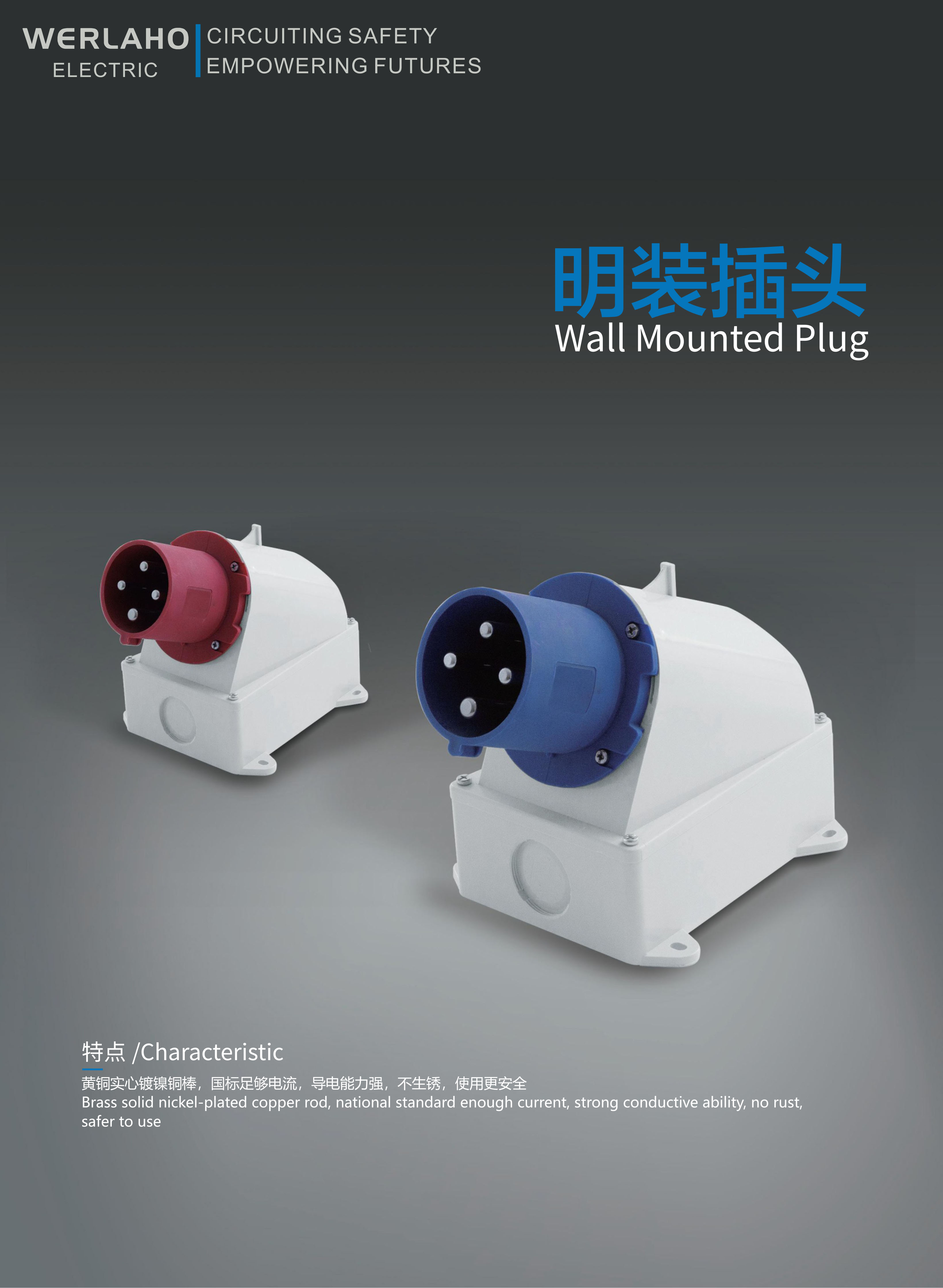 Wall Mounted Plug