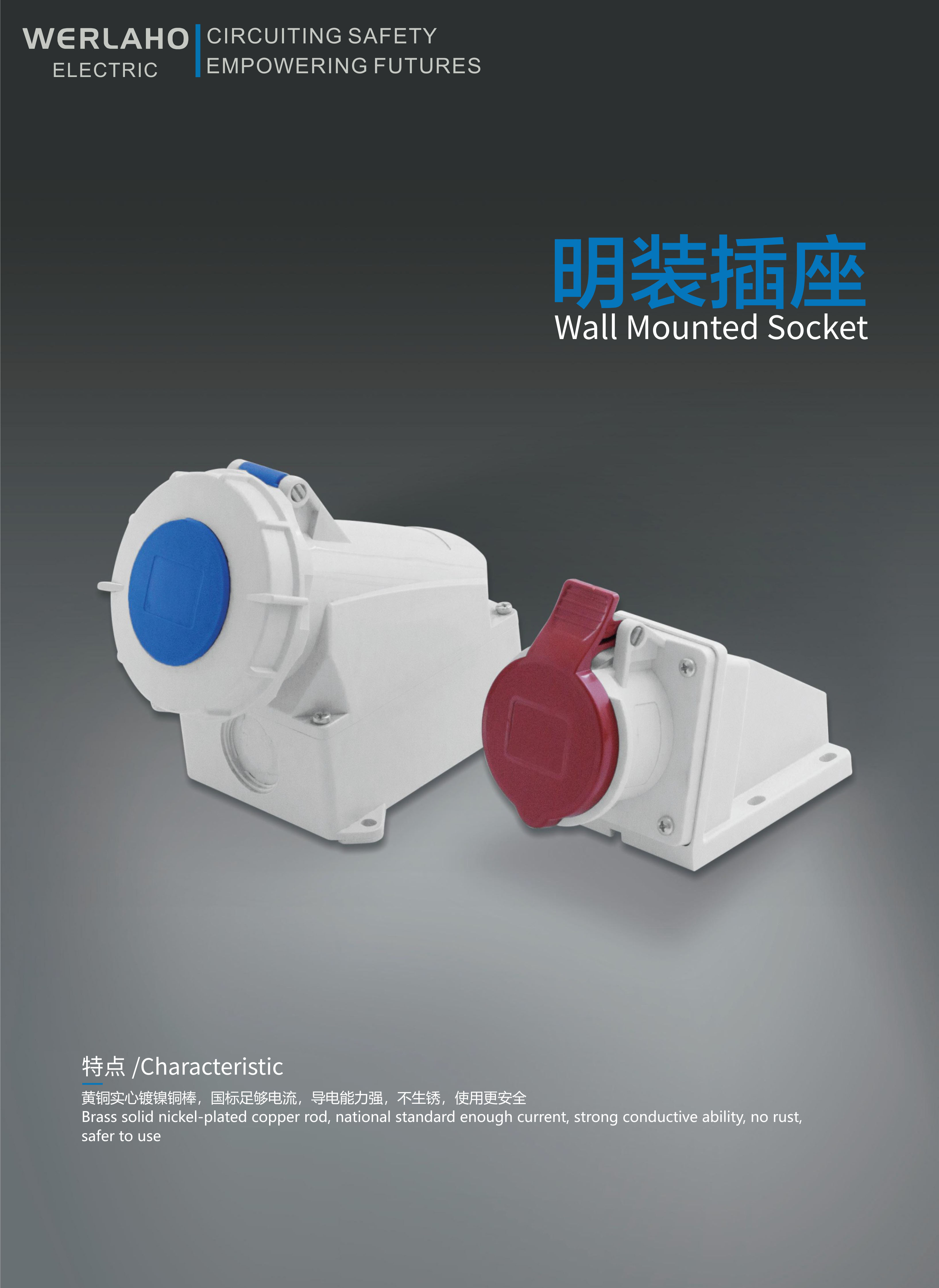 Wall Mounted Socket
