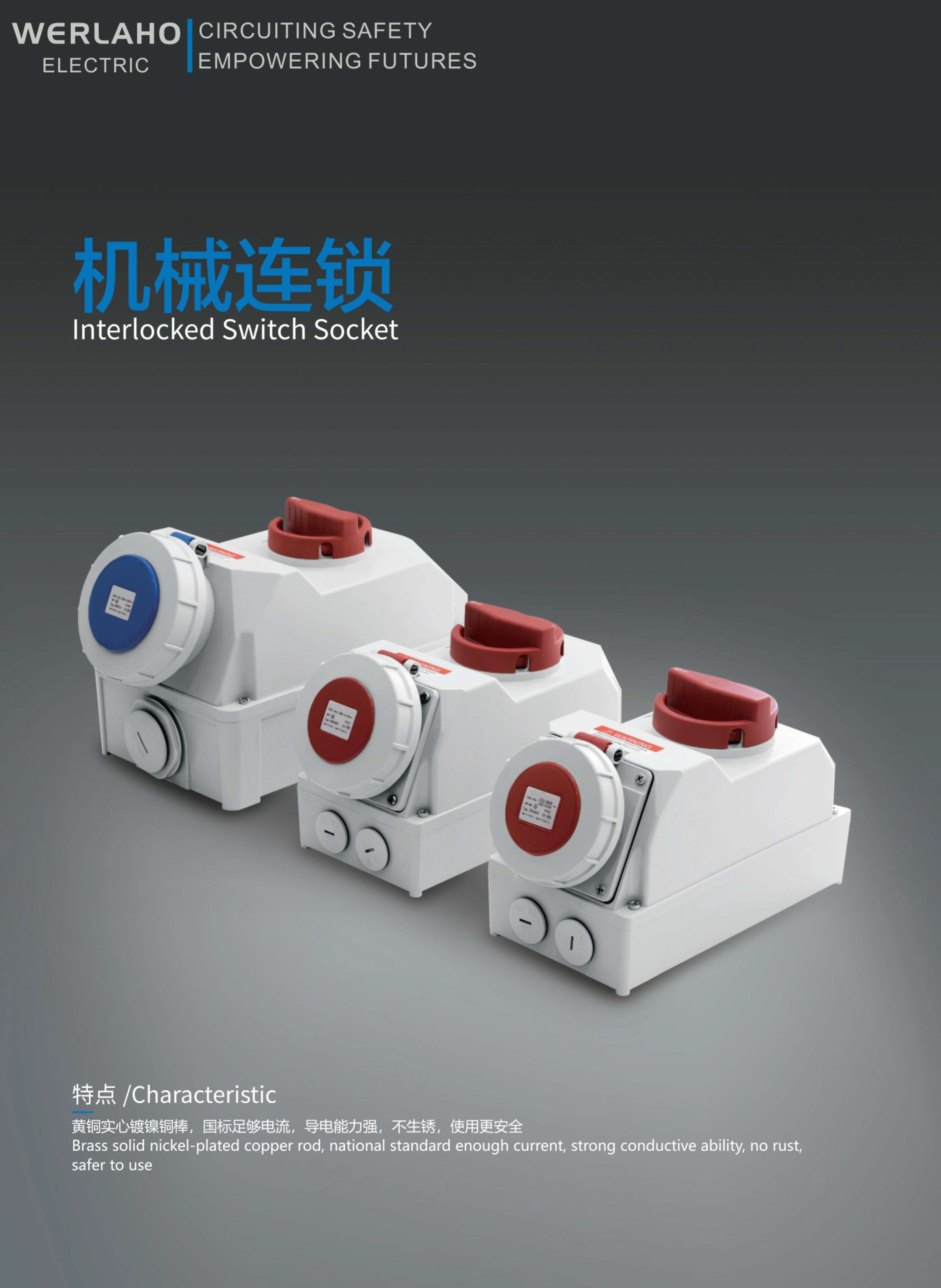 Interlocked Switch Socket