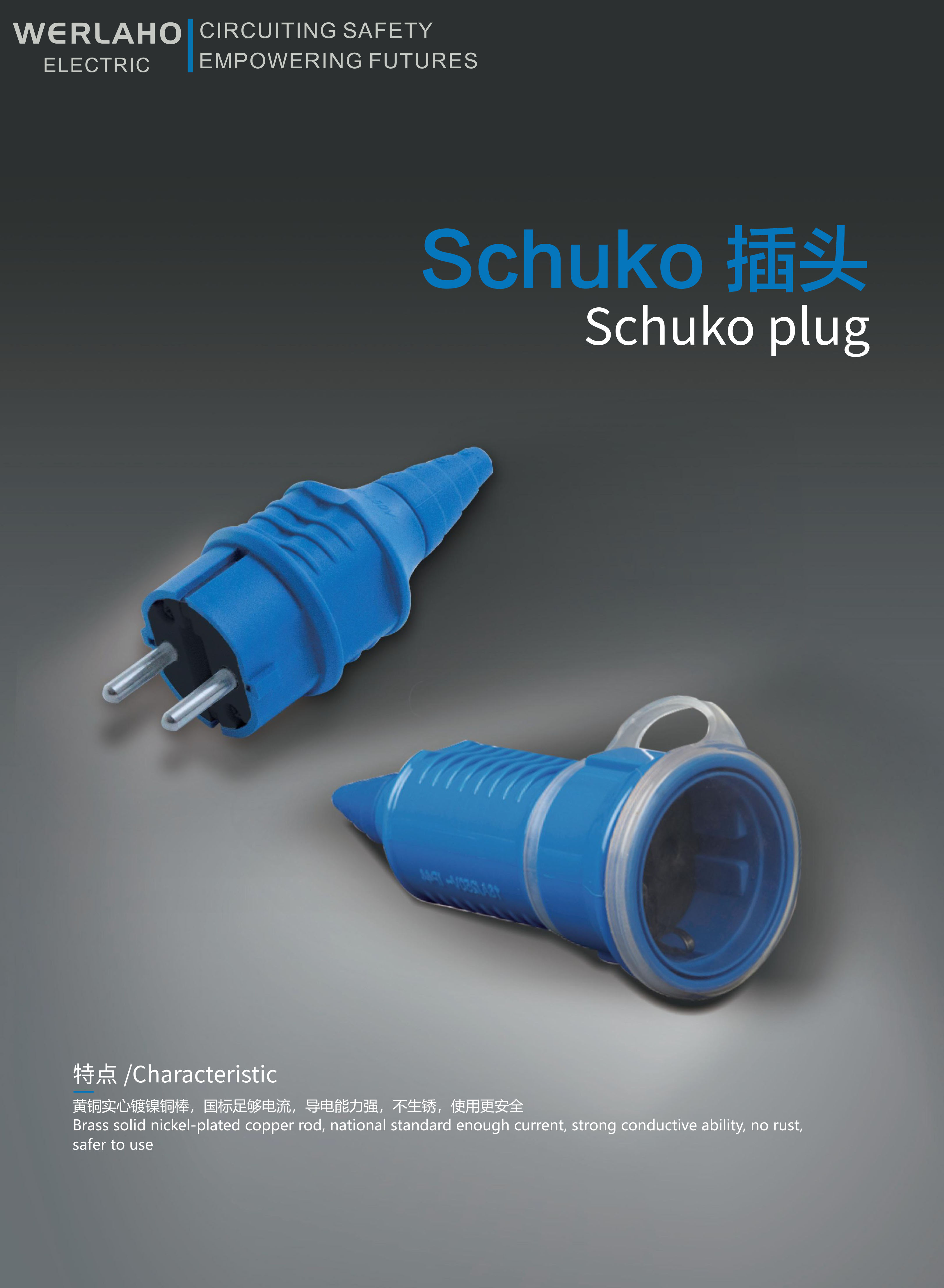 Schuko plug
