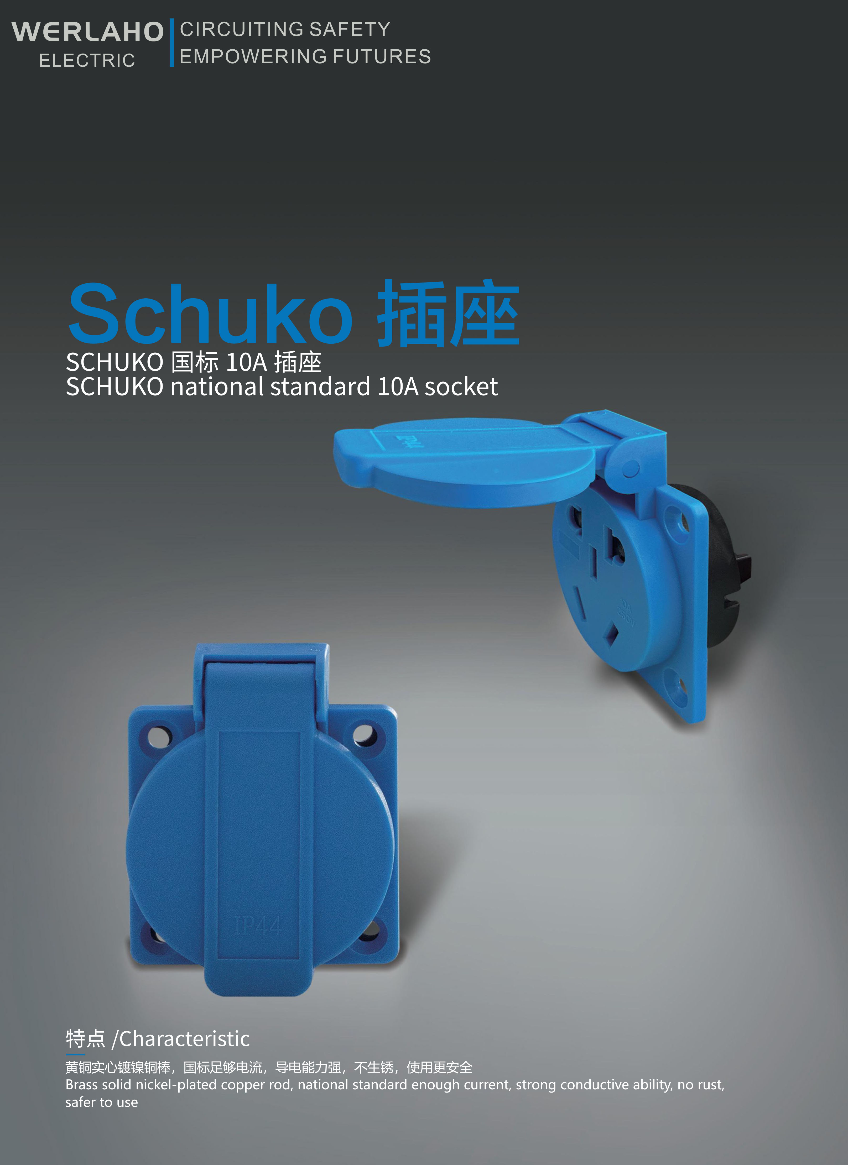 Schuko socket