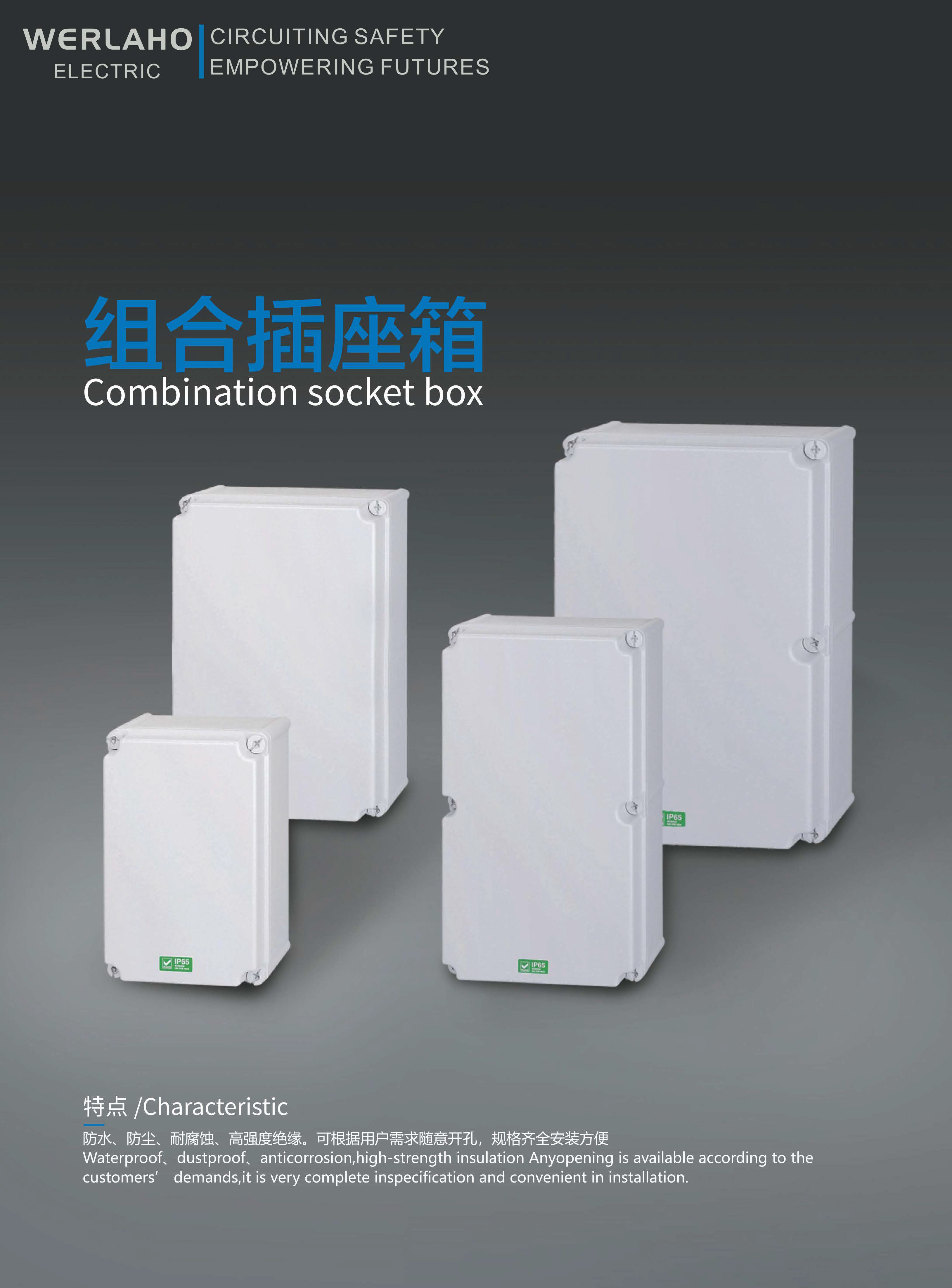 Combination socket box