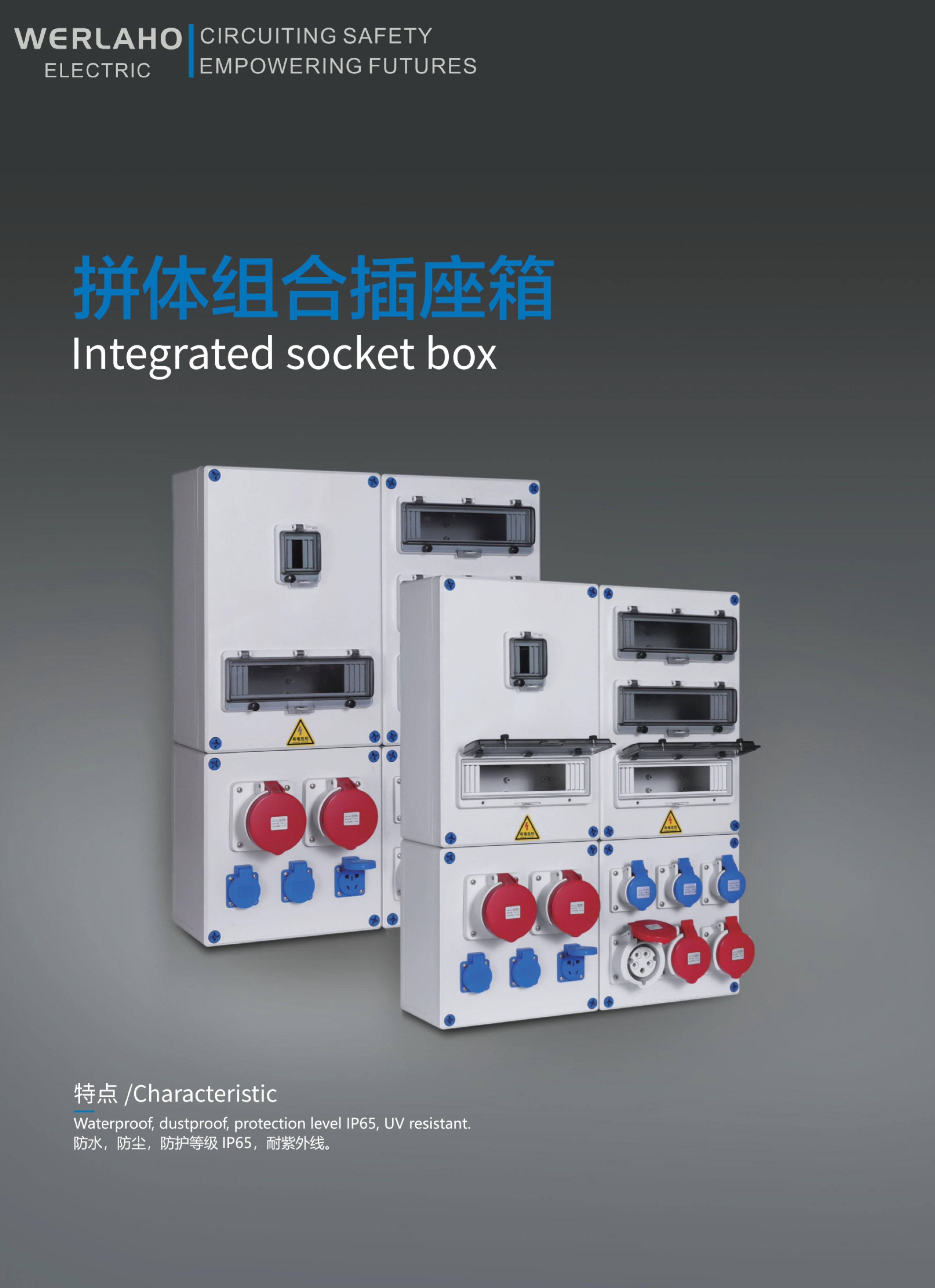 Integrated socket box
